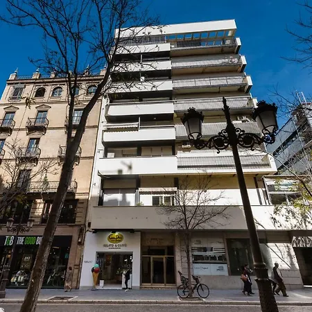 Loft Campana Ii Donkey Apartment